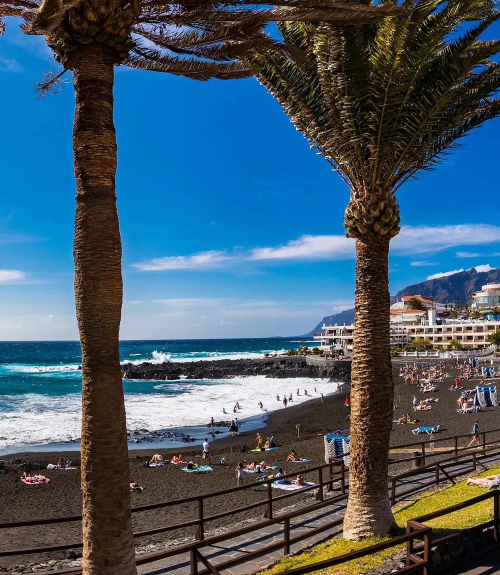 Palmen und schwarzer Sandstrand der Playa de la Arena in Puerto de Santiago